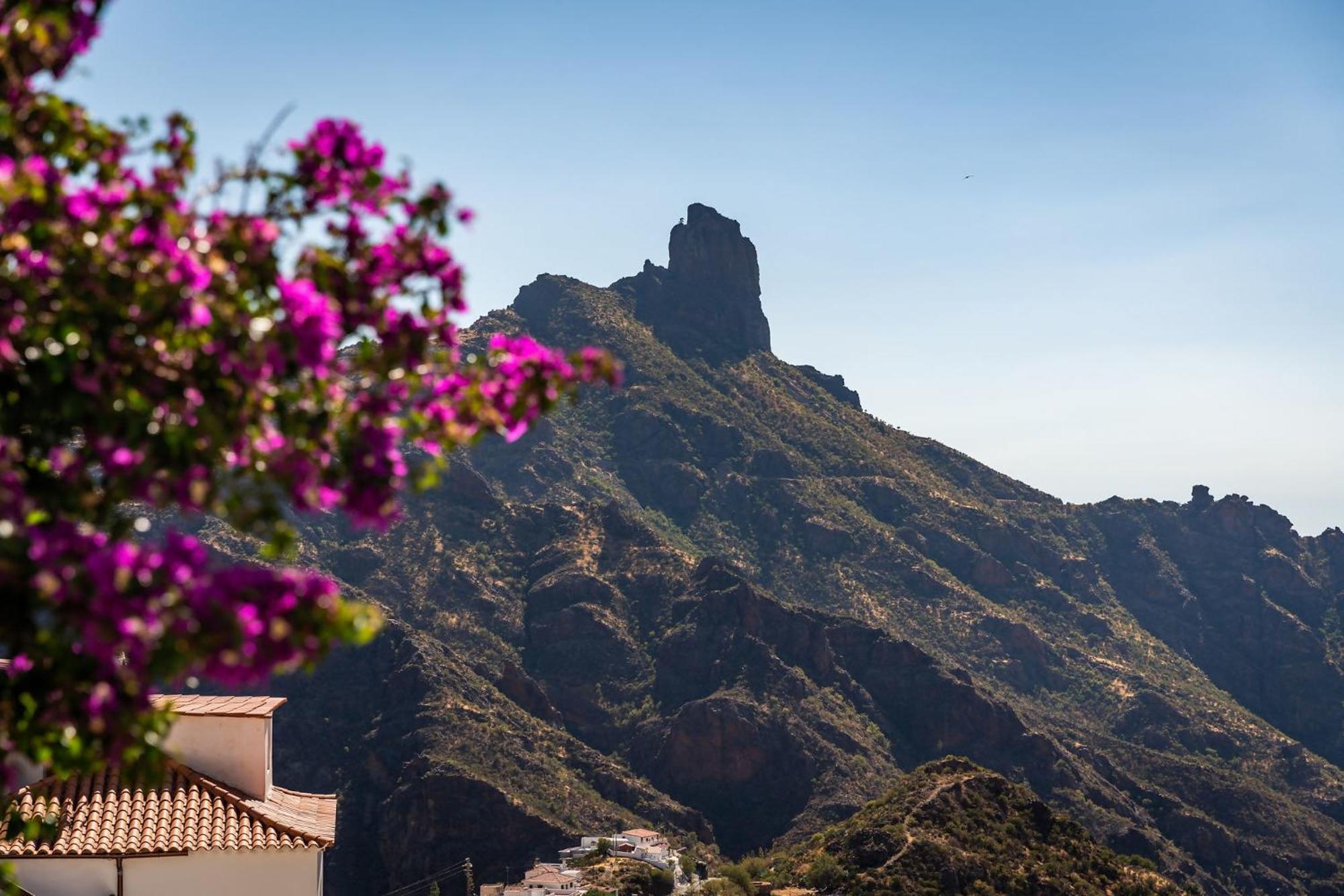 Macaronesia Lpa Suites Las Palmas / Gran Canaria Exterior foto